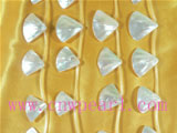 25mm white crescent shell strands
